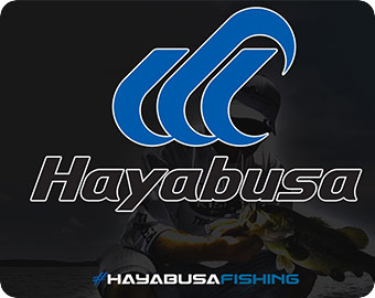 hayabusa 1