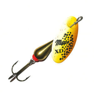chatgpt-image--eki-----.jpg